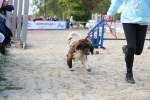 SBM_29153