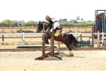 SBM_002612