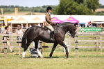 SBM_17823