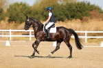 SBM_016595