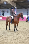 Class 101 - HOYS Veteran Qualifier - Ridden Diamond portfolio