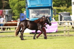 SBM_00674
