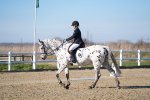 SBM_004260