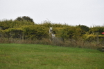 WJ5_7050