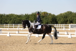SBM_006504