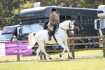 SBM_16193