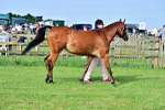 SBM_00937