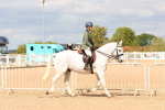 SBM_15484