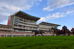 260724-Race 4-Dicko The Legend-0998