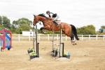 SBM_018863