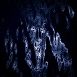 Groot -RLP23226