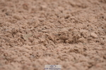 230701A-110548-05124