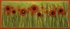 Poppies
