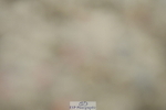 230630A-110119-00635