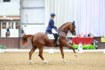 SBM_006075