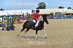 BPP_0459