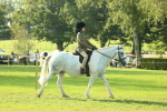 SBM_59305