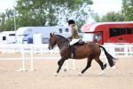 SBM_18349