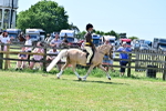 SBM_15441
