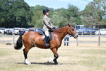 WJ7_3473