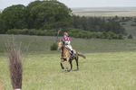 BVHT 140517  IXC -153