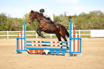 SBM_002803