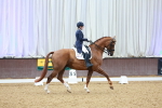 SBM_007762
