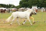 SBM_04171