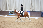 SBM_006313