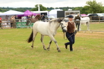 SBM_04064
