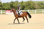 SBM_008642