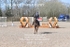 BPP_5195