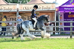 SBM_11565
