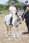 BPP_8174