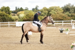 SBM_009911