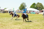 SBM_17191