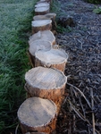 Frosty Logs