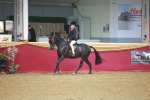 SBM_12538