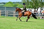 SBM_07918