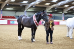 SBM_00362