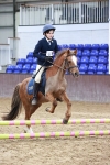 SBM_000559_Class 2 - Show Jumping 50cm