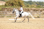 SBM_002894