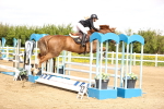 SBM_002271
