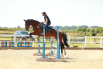SBM_005953