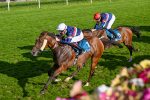240824-Race 7-Sir Busker-2001