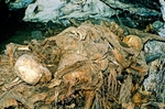 Burial Cave - Papua New Guinea