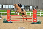 Cls 30 A&B 1.10m Nat Am Qual & 1.10m Open portfolio