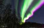 Aurora Fairbanks 4