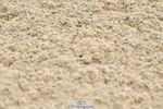 230617B-121332-00284