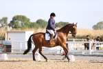 SBM_01597